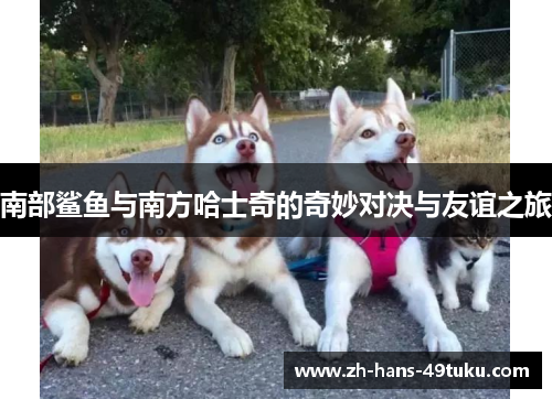 南部鲨鱼与南方哈士奇的奇妙对决与友谊之旅